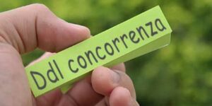 Testo ddl concorrenza