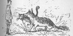 Gatto E Volpe